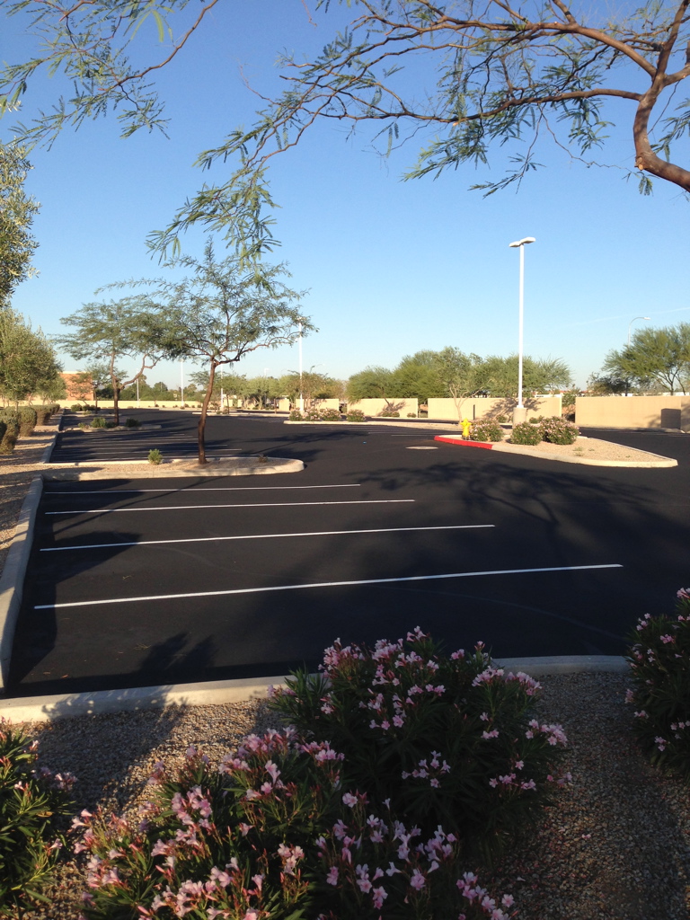 We Do Lines Arizona - Empty parking lot with freshly painted line striping and surrounding landscaping, including small trees, shrubs, and flowering plants. A clear blue sky is in the background.