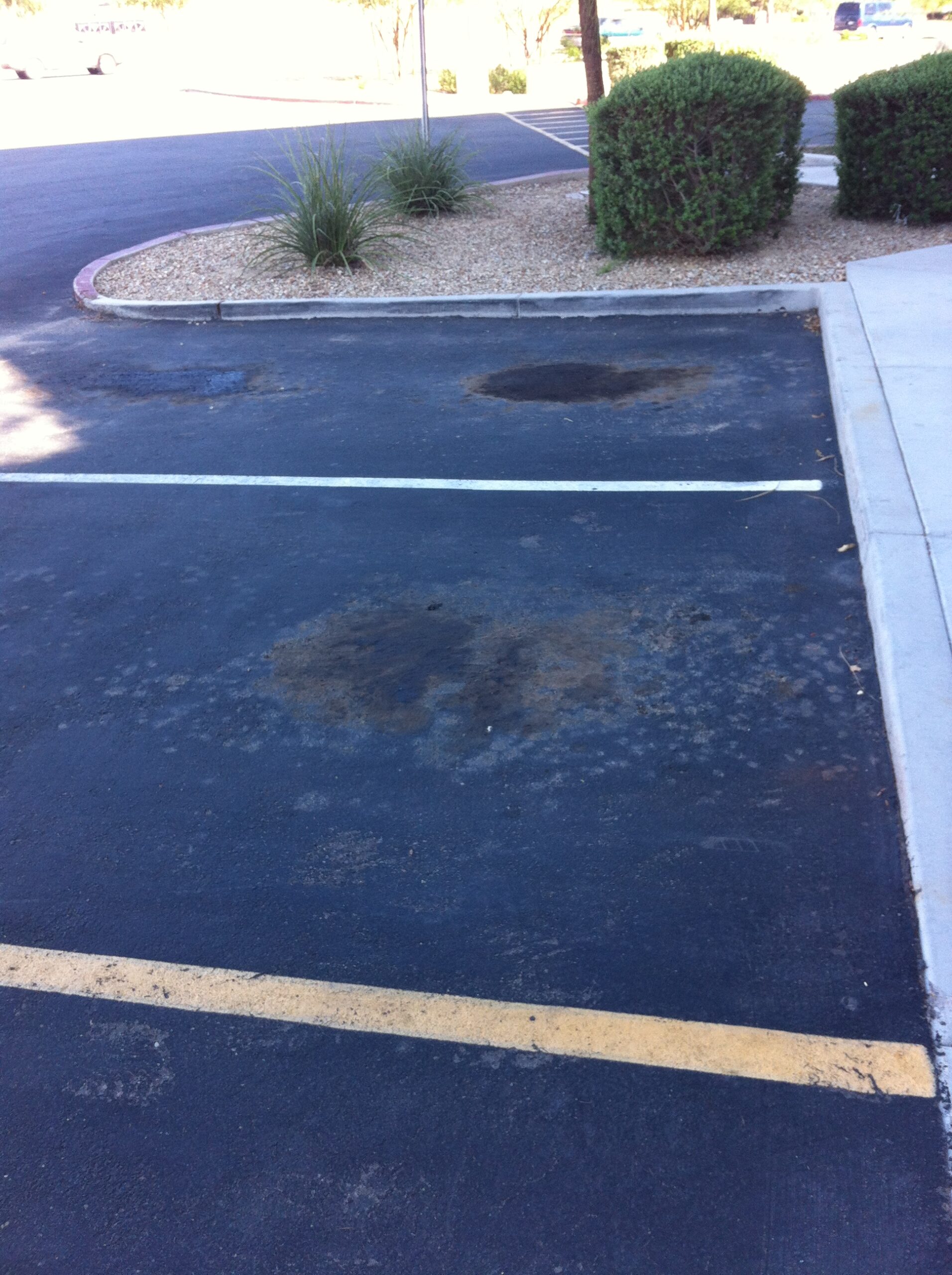 We Do Lines Arizona - Empty parking space with oil stains on the asphalt, freshly marked with line striping. A curb with bushes and gravel is visible in the background.